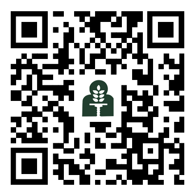 移動手機版